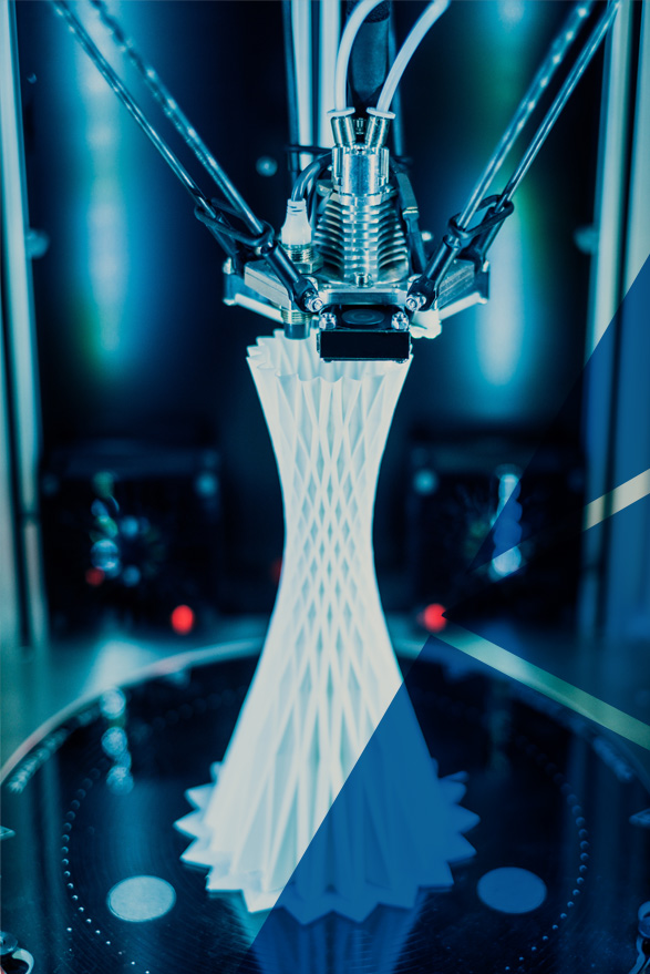 Alpinus 3D